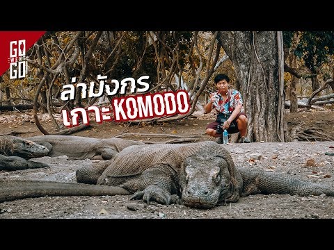 ล่ามังกร เกาะ Komodo | Komodo Island EP.1 | GoWentGo