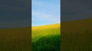 Download Lagu A road of great beauty💛💚💛  #song #80smusic #lyrics #music #road #greatesthits #beautiful #nature #🩷 MP3 Download Lagu A road of great beauty💛💚💛  #song #80smusic #lyrics #music #road #greatesthits #beautiful #nature #🩷 MP3