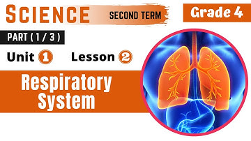 Science | G4 | The Respiratory System | Part (1-3) | Unit One | Lesson Two