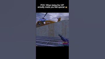 When Being the VIP Actually Meant Something 👑#cs #cs16 #cs1_6 #counterstrike  #retrogaming