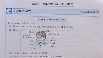 3rd Standard E.V.S. Workbook Chp 15 Our Body@Om Education