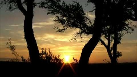 Quran Relaxation Room |Adkar Sabah أذكار الصباح by Hasan Alwajidi