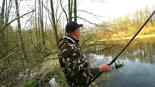 картинка: Карась рвет все снасти  В таких дебрях я ещё не рыбачил  Рыбалка на карася весной на поплавок