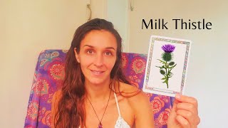 Benefits and Uses of Milk Thistle | Scotland