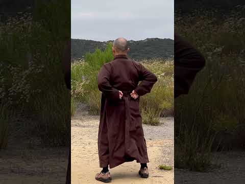 Simple Way to Reduce Lower Back Pain & Tension | Daily Qigong Massage #shorts