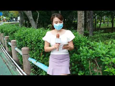 樂韻坊樂樂歌《雨中的追憶《2O2O年9月1O日