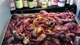 Crawfish Boil - How to Cook Live Crawfish - PoorMansGourmet