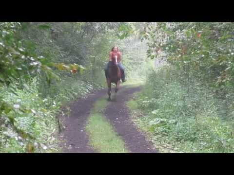 Galloping full speed