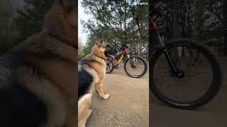 I’m bad bad #bike #mtb #bicycle #mountainbike #jump #maxxis#makemefamous #insane #pro#edit
