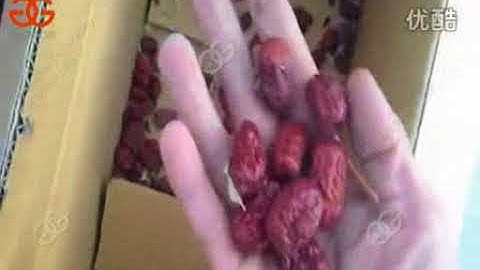 fruit grading and sorting machine video