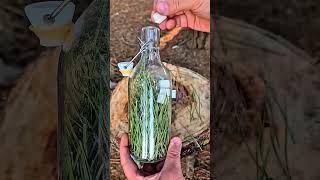 Çam Yaprağından Doğal Sprite Yaptım