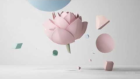 Minimalist Shapes Morph into Flowers 🌸 | Elegant Motion Graphics Video