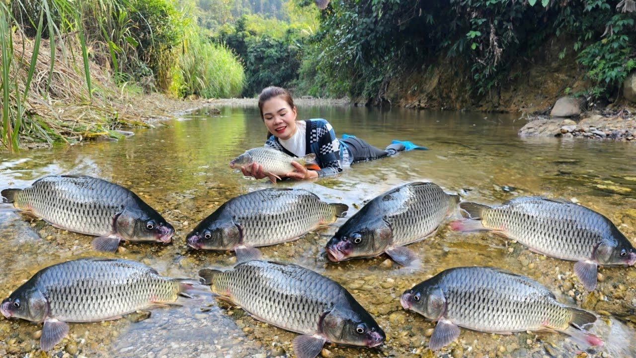 Caught a large school of carp. The girl used a net to catch many big ...