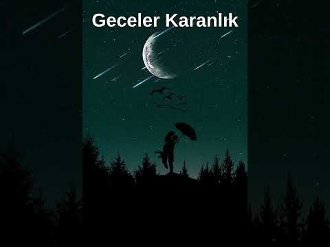 Geceler Karanlık Issız Ve Sensiz Suno Ai Cover