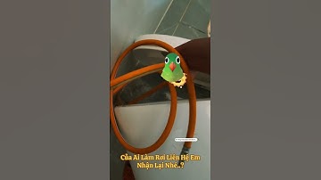 Thông Tắc Bồn Cầu Uy Tín Tóp 1 Kon Tum 0975.037.047 #huthamcaugialai #huthamcau #huthamcauminhhoang