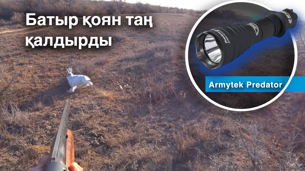 Аңшылықтағы жағдай. Қоян “мені көрмейді “- деп ойлады. Фонарь Armytek Predator обзор. Охота