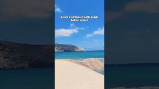 Swans In Achla Beach, Andros, Greece. Κύκνοι Στην Άχλα, Άνδρος.