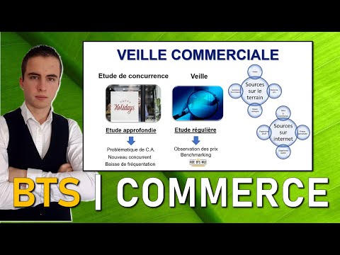 Qu’Est-Ce Qu’Une Carrière Dans L’Analyse Commerciale