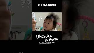 お父さんと一緒にするハイハイの練習