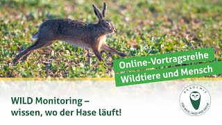 DJV-Online-Vortragsreihe Wildtiere und Mensch | WILD Monitoring – wissen, wo der Hase läuft!