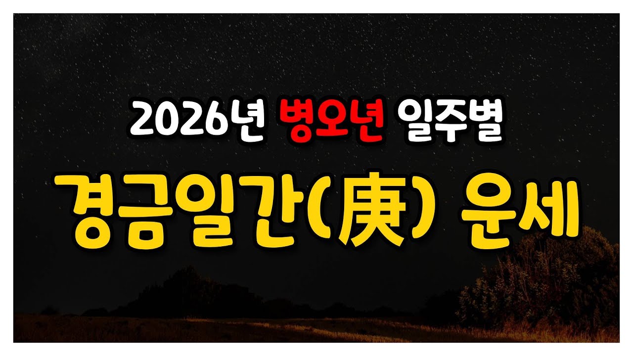 병오년) 경금일간 운세 심층분석