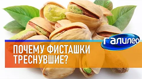 Галилео 🌰 Почему фисташки треснувшие?