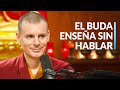 Lama Rinchen: El Buddha Hoy 7: La Visión Profunda del Loto