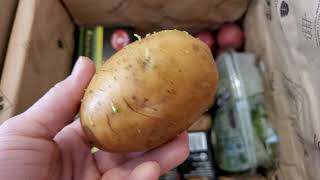 Misfits Market Unboxing September 3, 2021. All organic fruits and veggies by Christie Nuzzo 49 views 2 years ago 14 minutes, 51 seconds