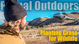 ODFW and RMEF  Planting Grass for Wildlife with a Helicopter