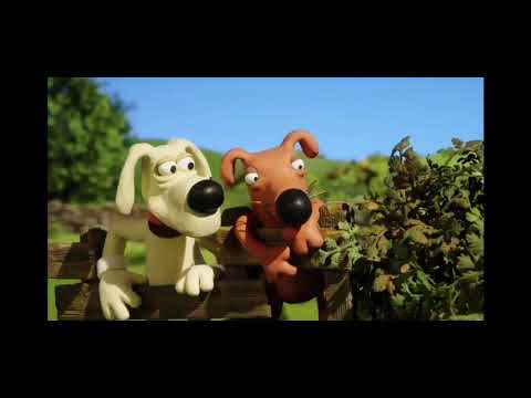 Shwani Marakan Bakurdi 1k Like