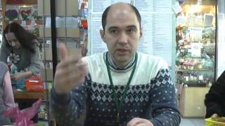 ДФ.Ошибки при размножении фиалок. И. Милехин(Игорь Милехин рассказывает посетителям Дома Фиалки на Пятницкой о типичных ошибках, которые совершают..., 2016-01-12T06:07:31.000Z)