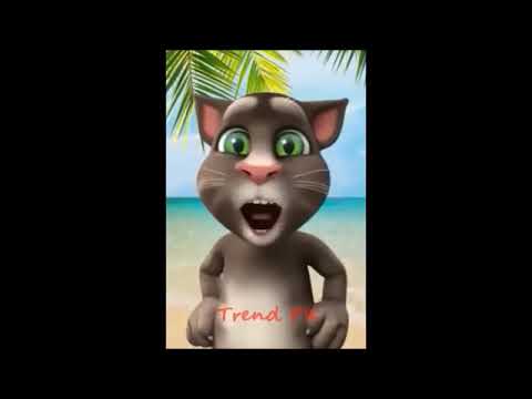 talking-tom-funny-videos-download-talking-tom-funny-videos-in-hindi-talking