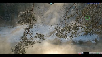 Sending a Bill of Exchange to the IRS, Follow the Procedures