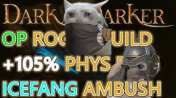 OVERPOWERED Rogue Arena Build - 105% Physical Damage +10 True Damage Drum Meta | Dark and Darker