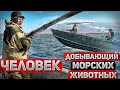 Человек добывающий МОРСКИХ ЖИВОТНЫХ \ Люди Чукотки КИТОБОИ \ Фильм для конкурса СПОРТ-МАРАФОН