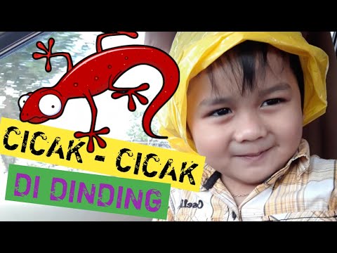CICAK CICAK DI DINDING | ANAK PERJALANAN BERNYANYI | LAGU ANAK INDONESIA