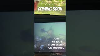 JOIN THE EDGE channel membership for this and loads of other amazing videos.  #fishing  #fishing2023