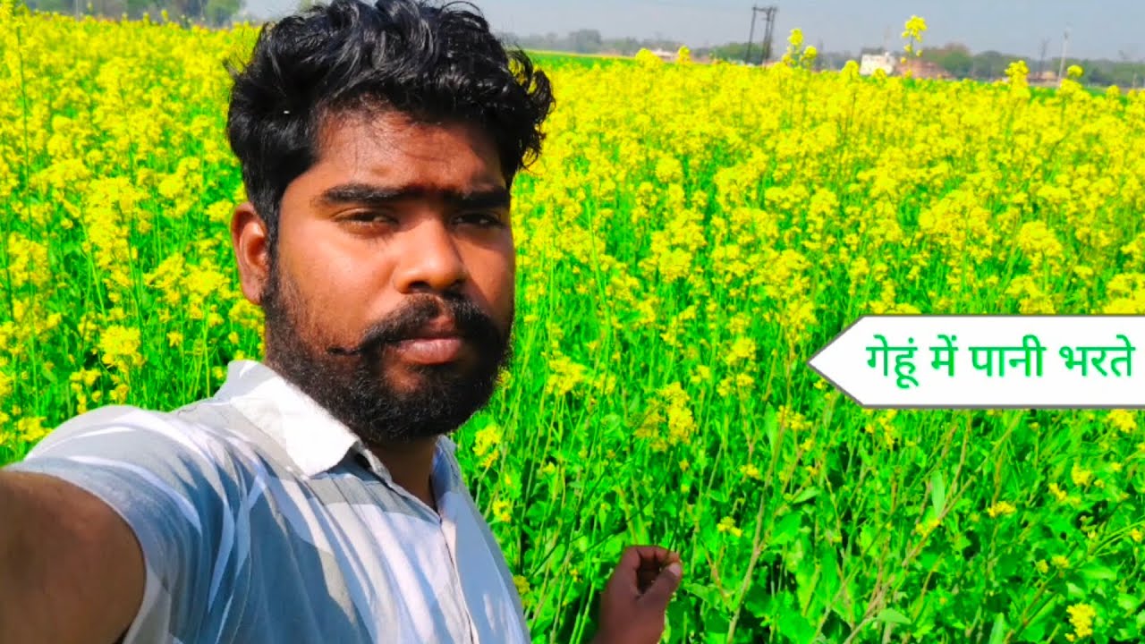 आदि शक्ति मां शीतला 🌺 जी की आरती 🪔करके हम लोग खेत में पानी भरते हुए आप लोग देखसकते हैं