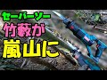 「荒れ放題竹林を嵐山にする」充電式セーバーソー(謎メーカー製)レシプロソーの威力が凄い！[[竹林整備伐採]]