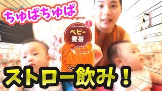 麦茶 双子赤ちゃんのストロー練習 紙パックで吸えるようになる 生後6ヶ月 Can Twin Baby Strobes Suck In Packs Youtube