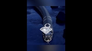 The Truth Behind Cobra Pearls – Snake Stone Exposed!
