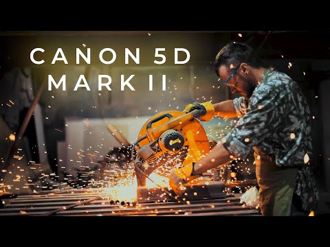 canon 5d vs 5d mark ii