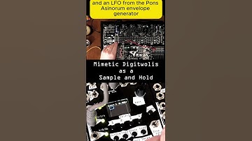 Sample and Hold trick using Mimetic Digitwolis | Noise Engineering | #eurorack