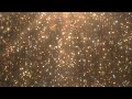 Beautiful gold glitter particle rain falling shimmers sparkle light 4k dj visuals loop background