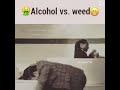 الفرق بين الحشيش والكحول ضحك الفرق بين الحشيش والكحول ضحك