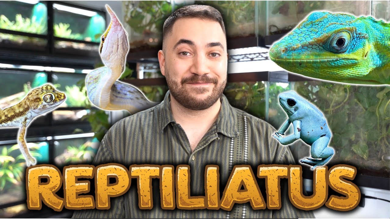 GETTING REAL WITH REPTILIATUS + ANIMALCON USA 2023 YouTube