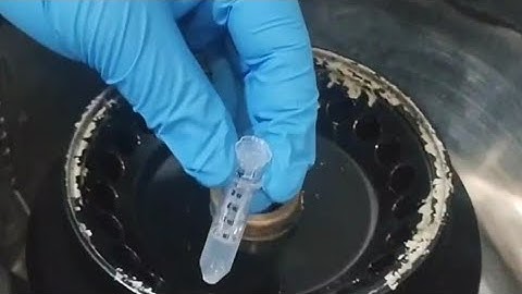 Buffer Exchange of Protein using Amicon Filter #protein_purification #Antibody_Purification