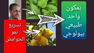 تسريع نمو الحوامض ودوام ٱخضرارها وحمل ثمار كثيفة بمكون واحد طبيعي.Accelerate the growth of citrus