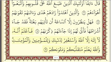 احمد العجمي سورة محمد مكتوبة جودة عالية