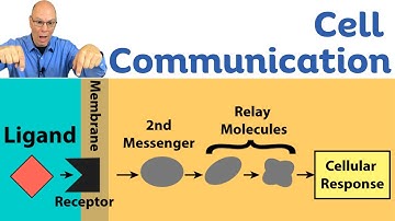 Cell Signaling, the Big Picture for AP Bio Students